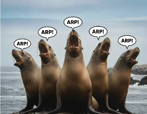 IPv4'ün ARP'siz Geleceği: IPv6-Only Ağlarda IPv4 Hizmeti
