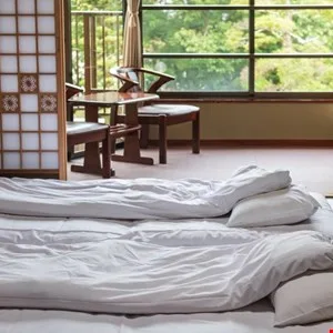 Blokzinciri Kullanan TONResolver: Booking.com Üzerinden Japon Otellerine Yönelik Hedefli Siber Saldırı