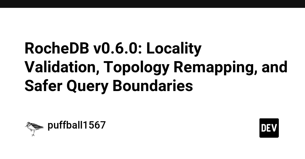 RocheDB v0.6.0: NoSQL ve Vektör Veritabanına Yerellik Doğrulama, Topoloji Remapping ve Daha Güvenli Sorgu Sınırları Geliyor