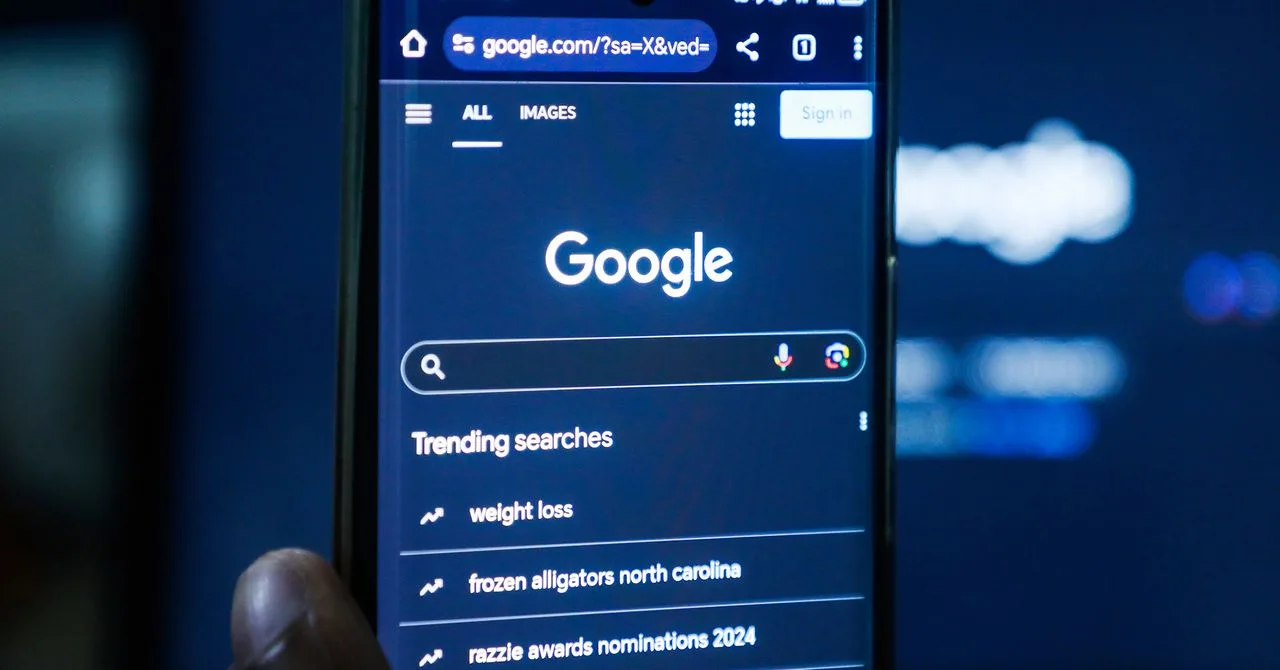 AB Düzenlemeleri Google Arama Verilerini Siber Saldırılara Açık Hale Getirebilir