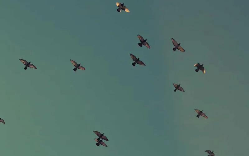 Yapay Zeka Kod Editörü Cursor’da Kritik Güvenlik Açıkları: Tek Bir Komutla Sandbox’ı Aşmak Mümkün