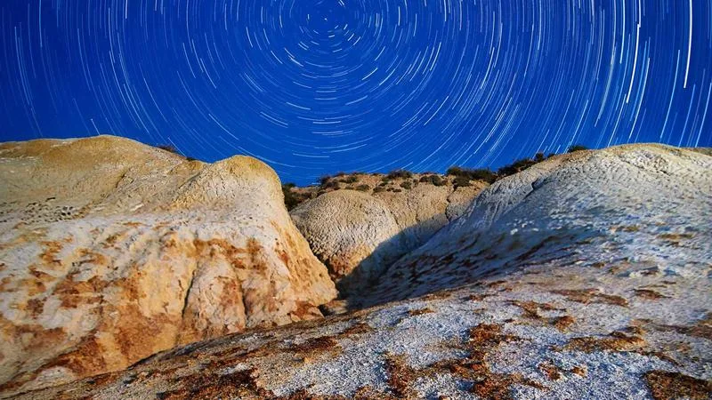 Statik Arama Ağaçları: İkili Aramadan 40 Kat Daha Hızlı (2024)