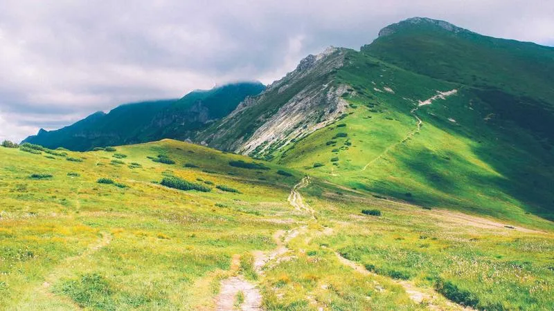 Açık Kaynak Yapay Zeka: Artık Gelecek Değil, Gerçeklik
