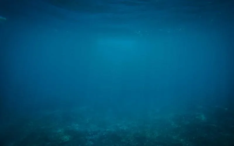 Çin Bağlantılı Tehdit Grubu, Güvenlik Açığı Bulunan Roundcube Sunucularıyla Üniversitelere Sızıyor