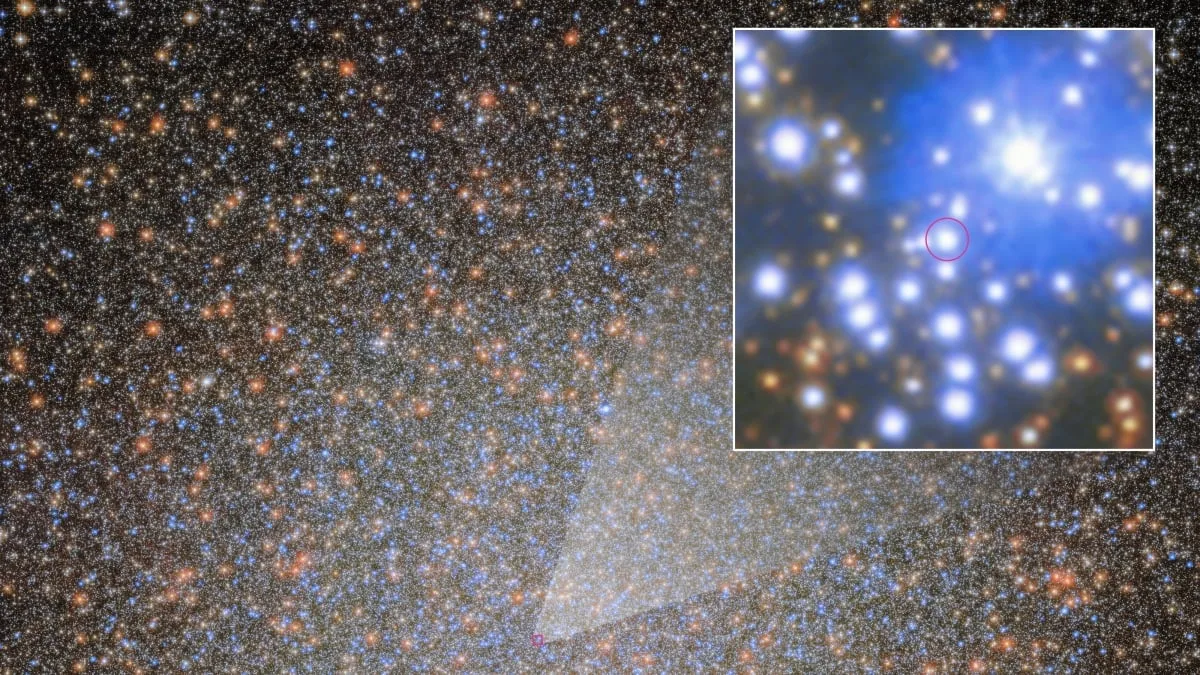 Hubble ve James Webb'den 18.000 Işık Yılı Uzaklıkta Keşif: Samanyolu'ndaki Yıldızsal Kara Delik Bulundu