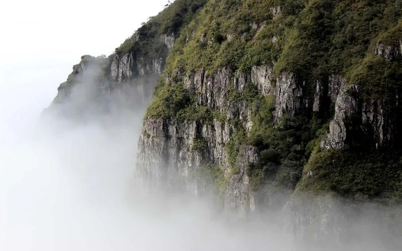 PamStealer Mac Kullanıcılarını Hedef Alıyor: Sahte Maccy Siteleriyle Şifre Çalma Tehdidi