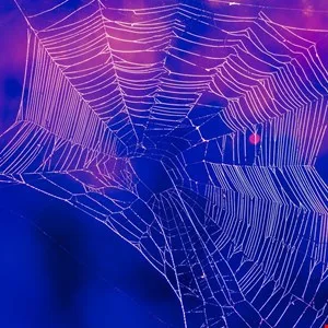 Scattered Spider Grubunun Genç Üyesi ABD'ye İade Edildi: 100 Milyon Dolarlık Fidye Saldırıları