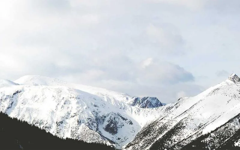 Everest Forms Pro Eklentisindeki Kritik Açık, WordPress Sitelerine Uzaktan Kod Çalıştırma Saldırısına İzin Veriyor