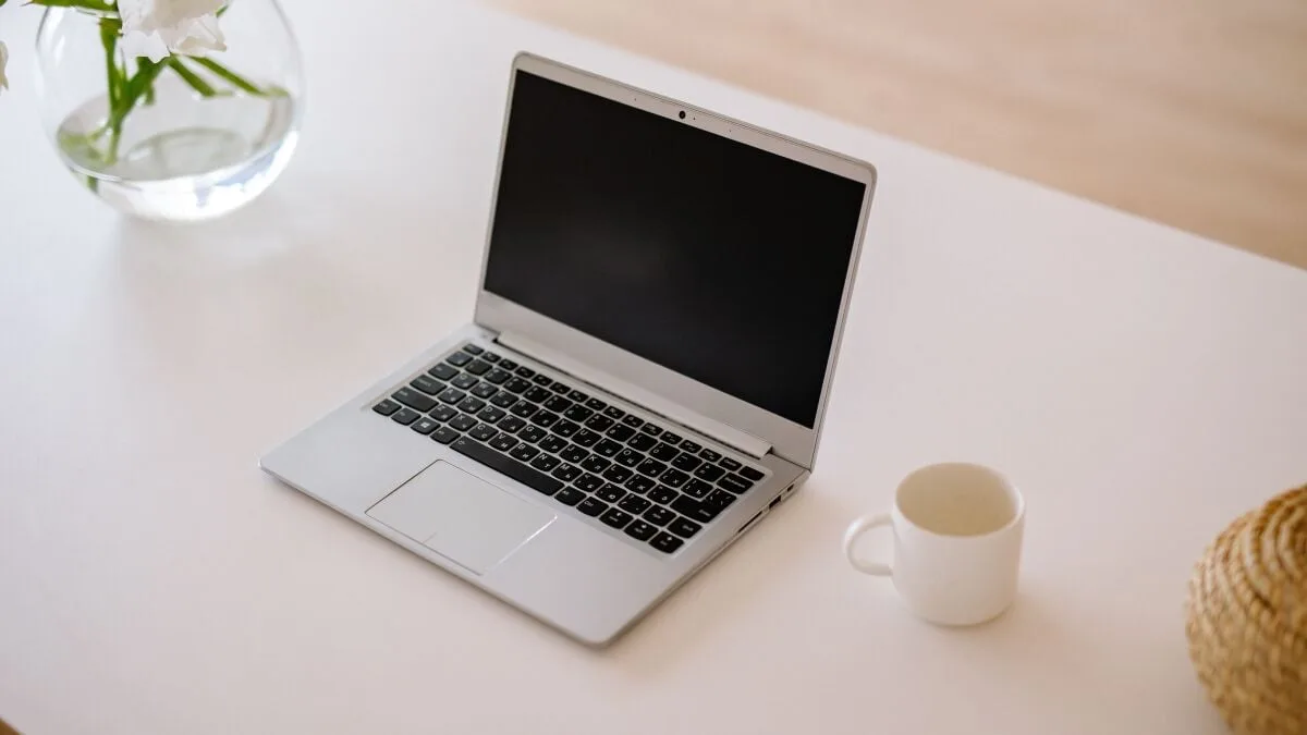 Microsoft Office 2024 Professional Plus: 54,99 Dolara Ömür Boyu Lisans Fırsatı
